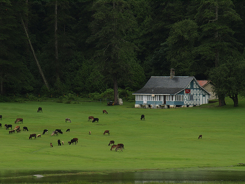 Dalhousie Tourism