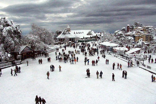 Summer-Festival-Shimla