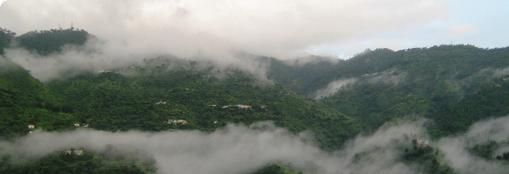 Kasauli Tour Packages